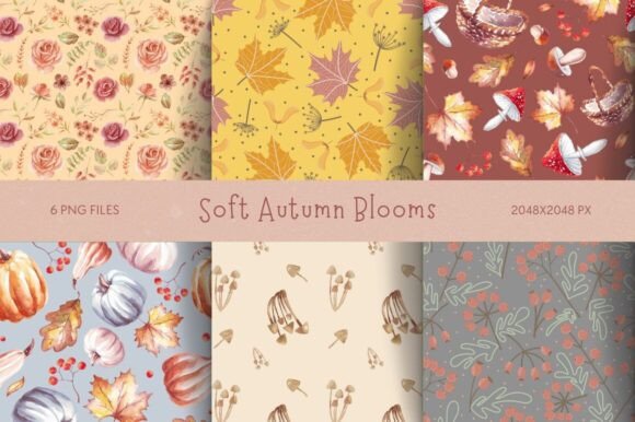 Download Soft Autumn Blooms - Premium Resources